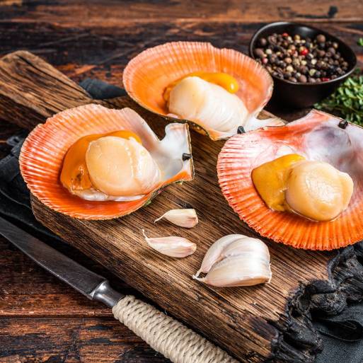 ГребешкиДеликатес, богатый белком и важными микроэлементами. Они способствуют здоровью сердца, мозга и иммунной системы.